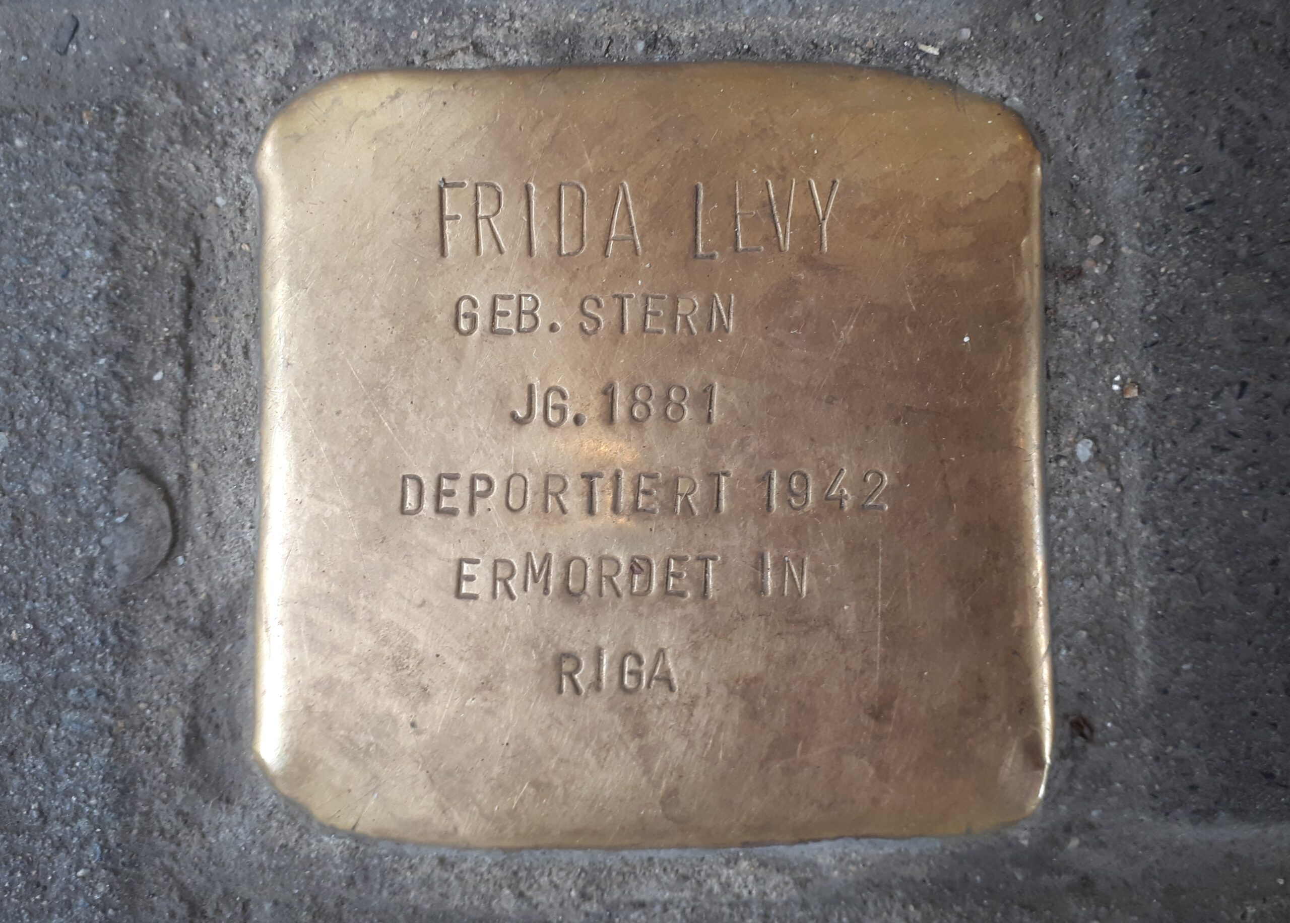 Frida Levy 2 (2)